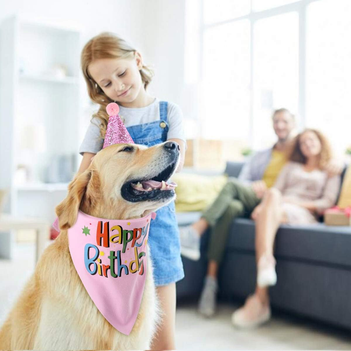 Dog Birthday Bandana Hat Scarf Party Supplies (Pink-Girl)